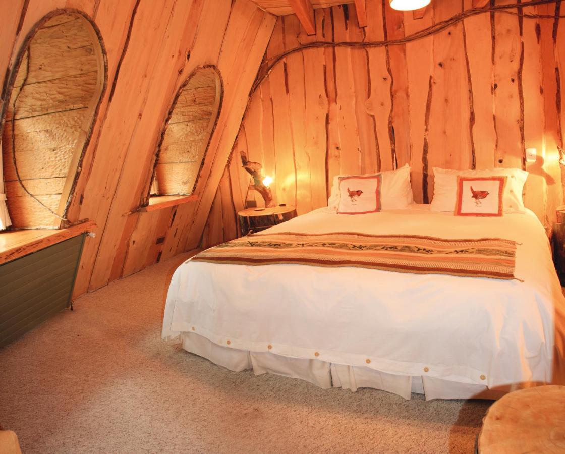 Huilo Huilo Montana Magica Villa Rom bilde