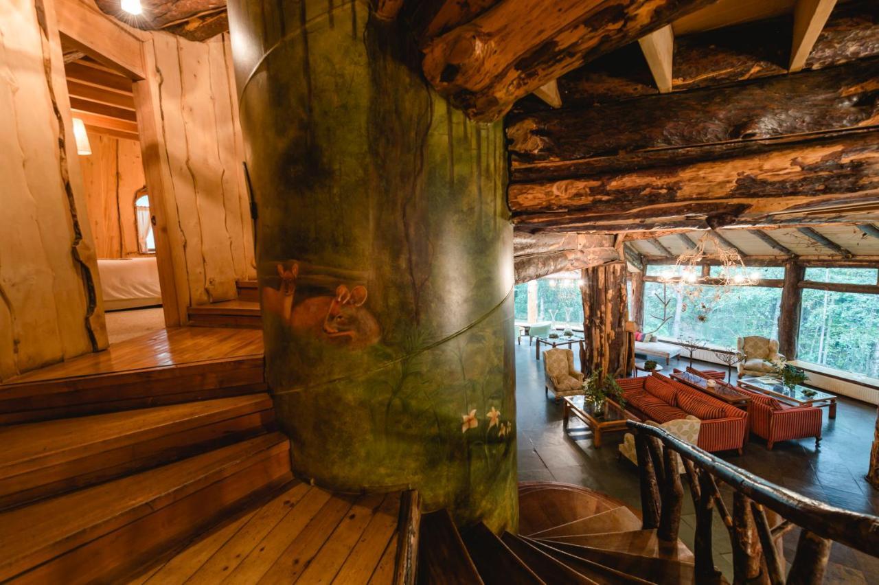 Huilo Huilo Montana Magica Villa Eksteriør bilde
